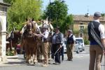 Foire aux chevaux 2023